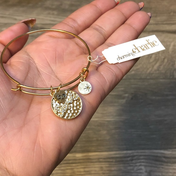 Charming Charlie Jewelry - 2/$20 Gold Love Circle Bracelet with Charms